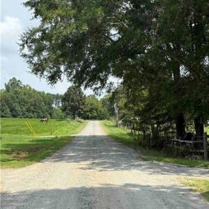 Looking down Bluestone