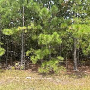 Photo #1 of New Tract 10 Belford Church, Jackson Springs, NC 10.1 acres