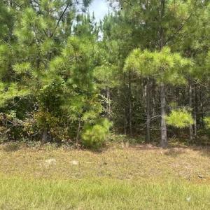 Photo #1 of Tract 17 Belford Church, Jackson Springs, NC 10.3 acres