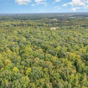 Photo #5 of Ralph Ratledge, Mocksville, NC 77.2 acres
