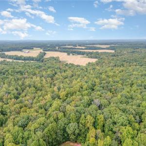 Photo #9 of Ralph Ratledge, Mocksville, NC 77.2 acres