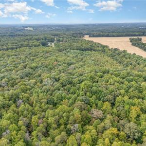 Photo #4 of Ralph Ratledge, Mocksville, NC 77.2 acres