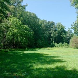 Photo #27 of 4942 Red Pine, Pfafftown, NC 4.2 acres