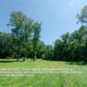 Photo #17 of 4942 Red Pine, Pfafftown, NC 4.2 acres