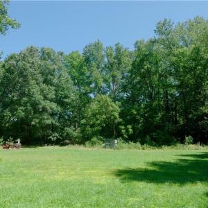 Photo #26 of 4942 Red Pine, Pfafftown, NC 4.2 acres