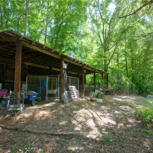 Photo #22 of 4942 Red Pine, Pfafftown, NC 4.2 acres