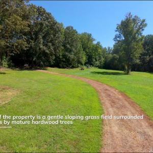 Photo #7 of 4942 Red Pine, Pfafftown, NC 4.2 acres