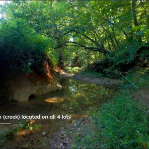 Photo #9 of 4942 Red Pine, Pfafftown, NC 4.2 acres