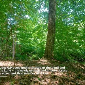 Photo #24 of 4942 Red Pine, Pfafftown, NC 4.2 acres