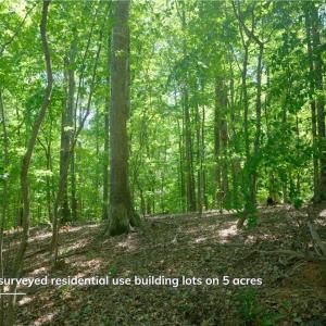 Photo #19 of 4942 Red Pine, Pfafftown, NC 4.2 acres