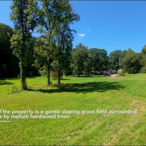 Photo #8 of 4942 Red Pine, Pfafftown, NC 4.2 acres