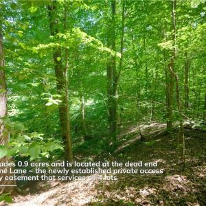 Photo #25 of 4942 Red Pine, Pfafftown, NC 4.2 acres