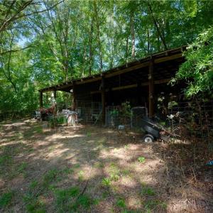 Photo #21 of 4942 Red Pine, Pfafftown, NC 4.2 acres