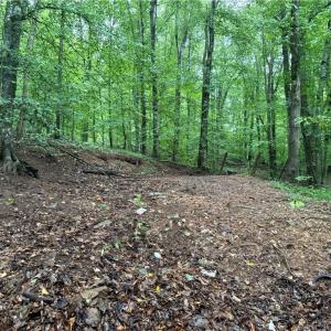 Photo #12 of 7680 Donnaha, Tobaccoville, NC 1.8 acres