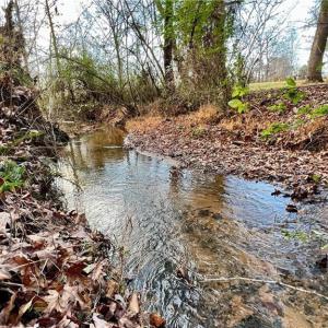 Photo #11 of 7680 Donnaha, Tobaccoville, NC 1.8 acres