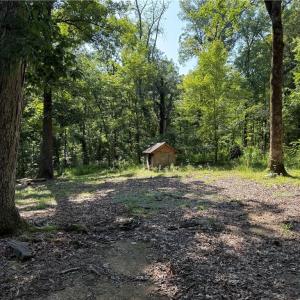 Photo #13 of 3138 Maple, Burlington, NC 5.0 acres