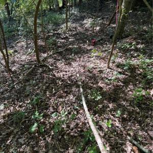 Photo #9 of 3138 Maple, Burlington, NC 5.0 acres