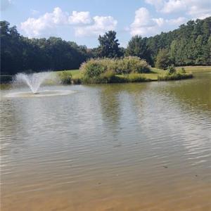 Pond Behind Property