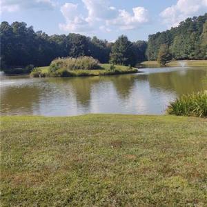 Pond Behind Property