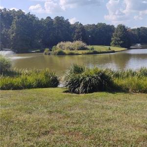Pond Behind Property