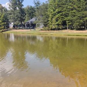 Pond Behind Property