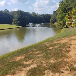 Pond Behind Property