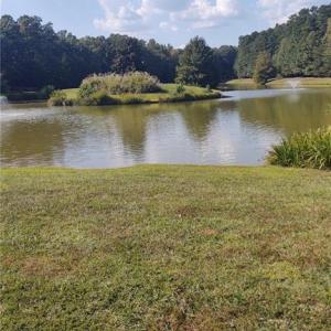 Pond Behind Property