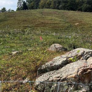 Photo #12 of TBD Spring Valley Rd, Fries, VA 0.8 acres
