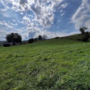 Photo #7 of TBD Spring Valley Rd, Fries, VA 0.8 acres