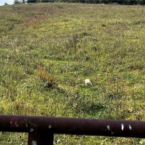 Photo #15 of TBD Spring Valley Rd, Fries, VA 0.8 acres