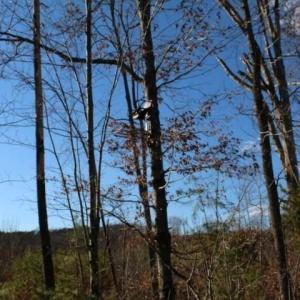 Photo #7 of Thore, Quaker Gap, NC 10.8 acres