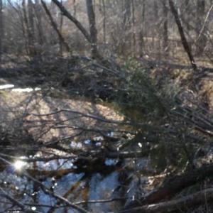 Photo #11 of Thore, Quaker Gap, NC 10.8 acres