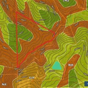 Photo #4 of Thore, Quaker Gap, NC 10.8 acres