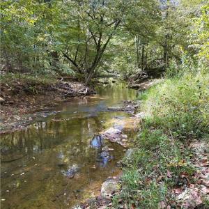 Photo #27 of 29.46 AC Steele, Sandy Ridge, NC 29.5 acres