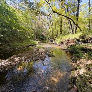 Photo #2 of 29.46 AC Steele, Sandy Ridge, NC 29.5 acres