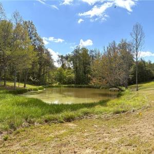 Photo #42 of 29.46 AC Steele, Sandy Ridge, NC 29.5 acres