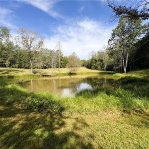 Photo #13 of 29.46 AC Steele, Sandy Ridge, NC 29.5 acres