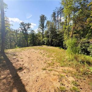 Photo #17 of 29.46 AC Steele, Sandy Ridge, NC 29.5 acres