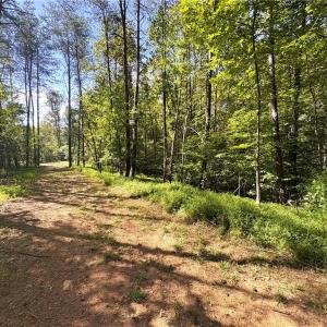 Photo #16 of 29.46 AC Steele, Sandy Ridge, NC 29.5 acres