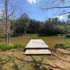 Photo #12 of 29.46 AC Steele, Sandy Ridge, NC 29.5 acres