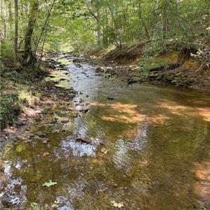 Photo #26 of 29.46 AC Steele, Sandy Ridge, NC 29.5 acres