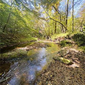 Photo #22 of 29.46 AC Steele, Sandy Ridge, NC 29.5 acres