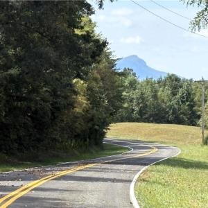Photo #7 of 29.46 AC Steele, Sandy Ridge, NC 29.5 acres