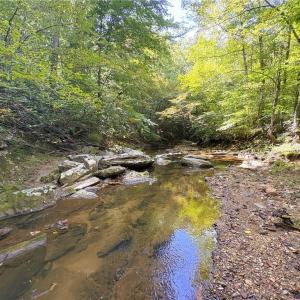 Photo #32 of 29.46 AC Steele, Sandy Ridge, NC 29.5 acres