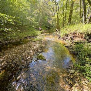 Photo #24 of 29.46 AC Steele, Sandy Ridge, NC 29.5 acres