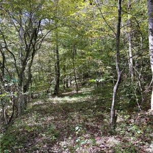 Photo #30 of 29.46 AC Steele, Sandy Ridge, NC 29.5 acres