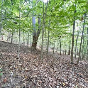 Photo #34 of 29.46 AC Steele, Sandy Ridge, NC 29.5 acres
