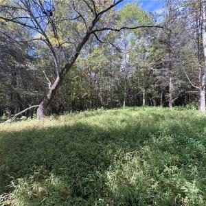 Photo #38 of 29.46 AC Steele, Sandy Ridge, NC 29.5 acres