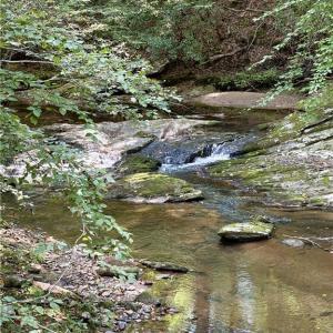 Photo #33 of 29.46 AC Steele, Sandy Ridge, NC 29.5 acres
