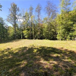 Photo #18 of 29.46 AC Steele, Sandy Ridge, NC 29.5 acres